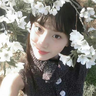 暗芝居第六季